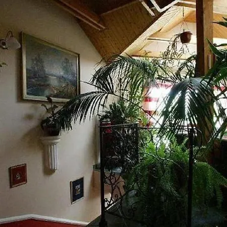 Studio Lavender Bük